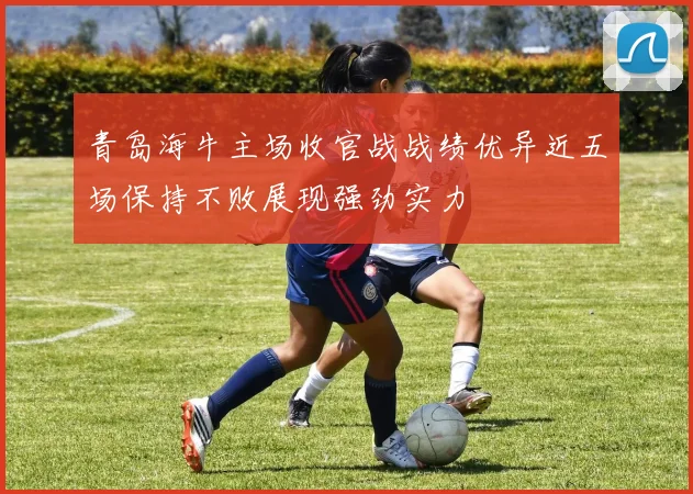 青岛海牛主场收官战战绩优异近五场保持不败展现强劲实力