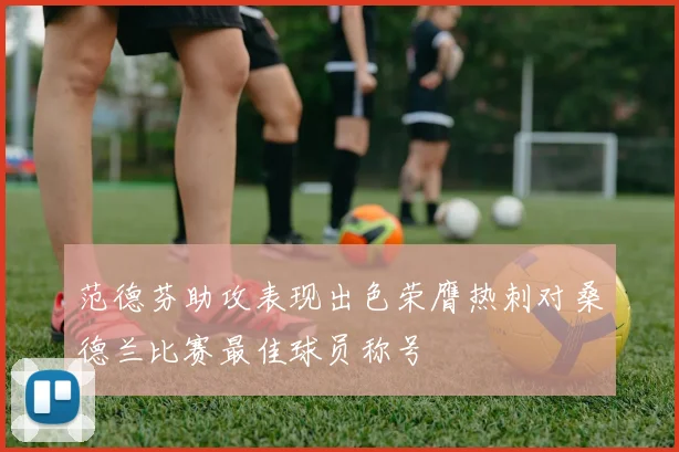 范德芬助攻表现出色荣膺热刺对桑德兰比赛最佳球员称号