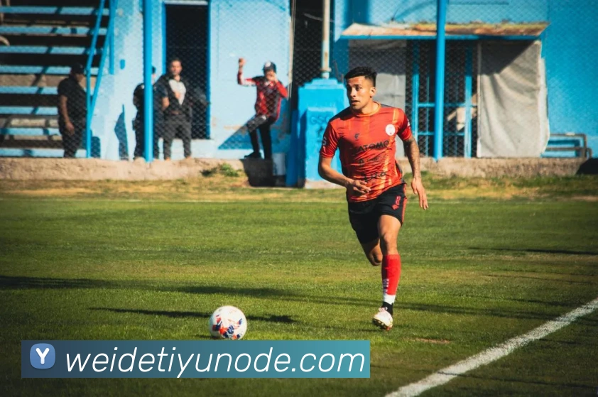 伟德体育APP 封面图